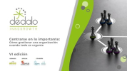 VI EDICIÓN PROGRAMA DÉDALO